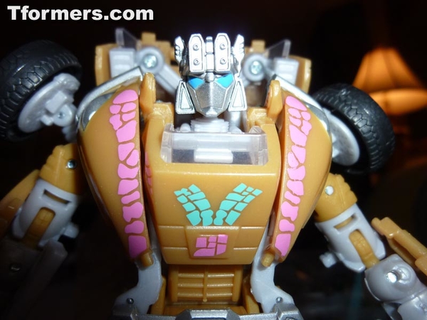 BotCon 2013   Convention Termination And Attendee Exclusives Figures Images Day 1 Gallery  (84 of 170)